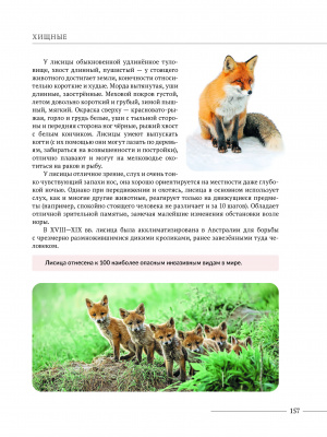 Шакун В.В. и др. "Млекопитающие Беларуси"